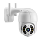 Camara de seguridad Wifi con cúpula de protección